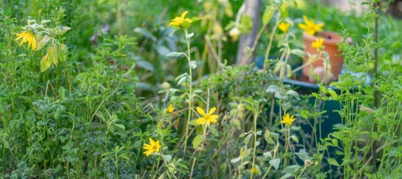 4 bedrooms Townhouse in Liesing, Austria No. 243768 13