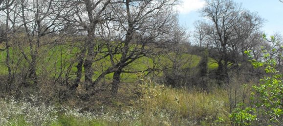 10غرفة منزل في Monteodorisio, Italy رقم 23833 19