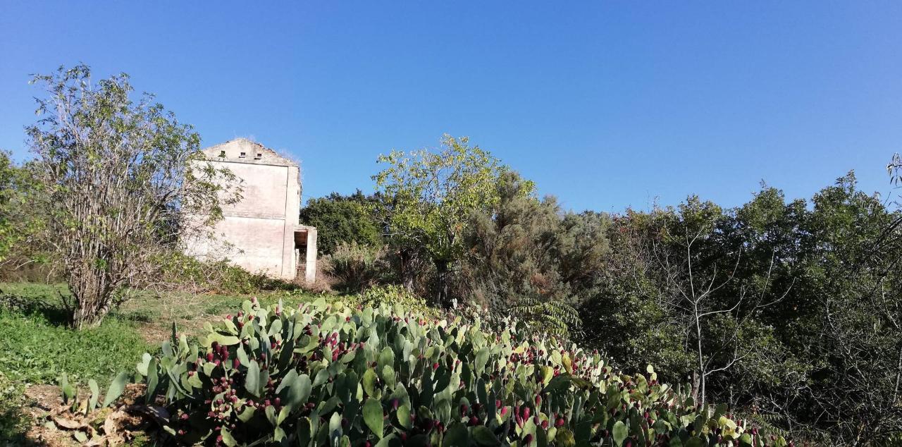 10غرفة منزل في Monteodorisio, Italy رقم 23833