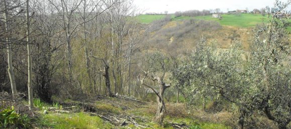 10غرفة منزل في Monteodorisio, Italy رقم 23833 21