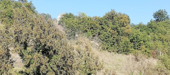 10غرفة منزل في Monteodorisio, Italy رقم 23833 24