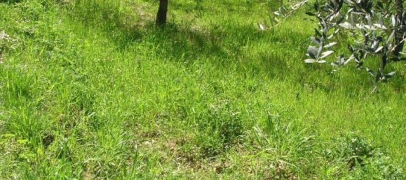 10غرفة منزل في Monteodorisio, Italy رقم 23833 9