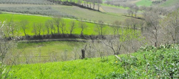 10غرفة منزل في Monteodorisio, Italy رقم 23833 20