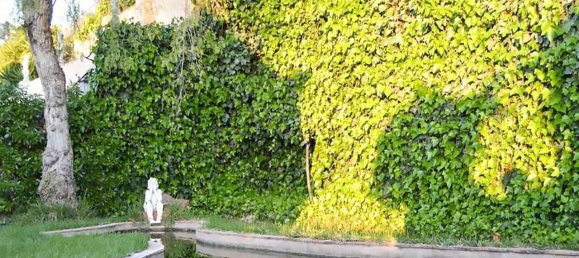 6 bedrooms Villa in Silves, Portugal No. 129275 11