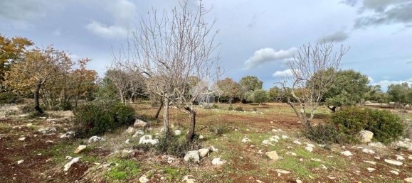 1 Schlafzimmer Haus in Ceglie Messapica, Italy, Nr. 102993 18