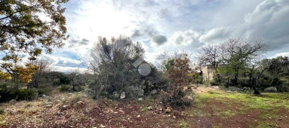 1 Schlafzimmer Haus in Ceglie Messapica, Italy, Nr. 102993 16