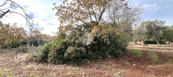 1 Schlafzimmer Haus in Ceglie Messapica, Italy, Nr. 102993 20