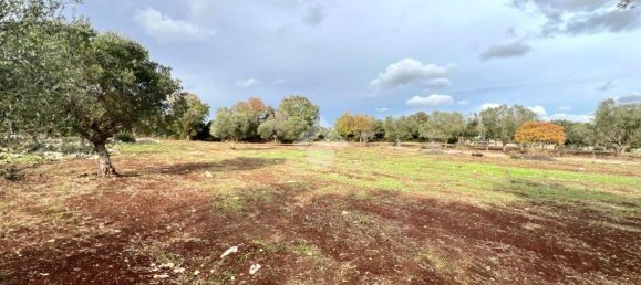 1 Schlafzimmer Haus in Ceglie Messapica, Italy, Nr. 102993 17