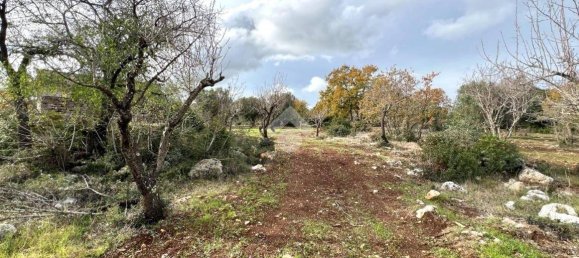 1 Schlafzimmer Haus in Ceglie Messapica, Italy, Nr. 102993 21