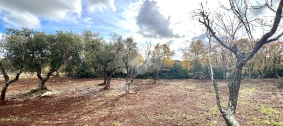 1 Schlafzimmer Haus in Ceglie Messapica, Italy, Nr. 102993 22