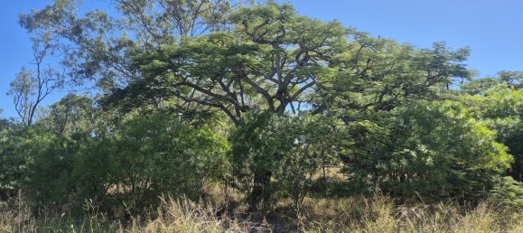 Земельный участок 1255м² в Baralaba, Австралия № 568 8