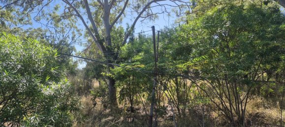 Земельный участок 1255м² в Baralaba, Австралия № 568 7