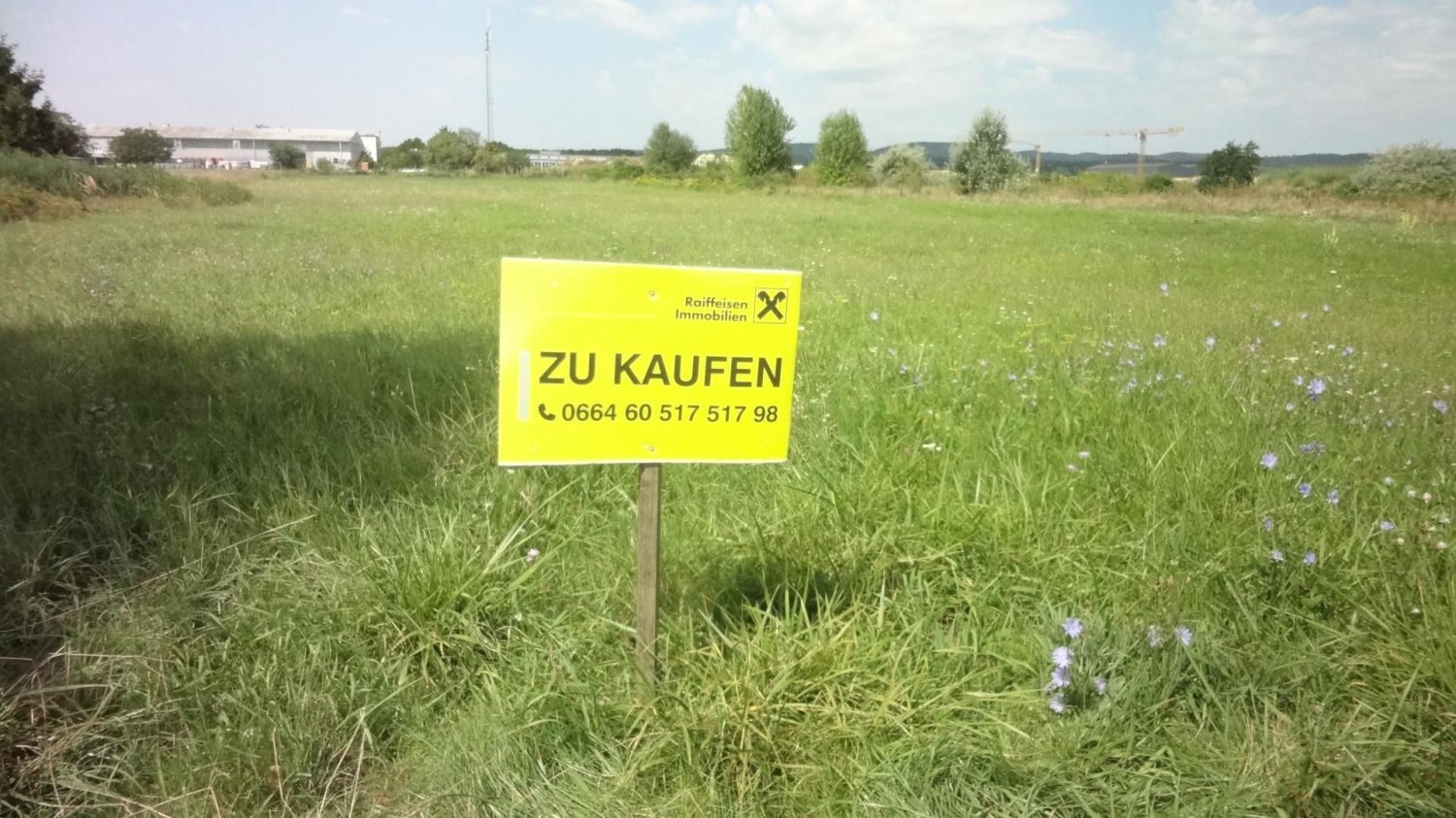Terreno en Donnerskirchen, Austria 6530 m² No. 219300