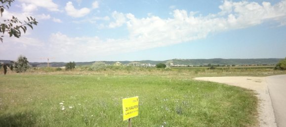 Terreno en Donnerskirchen, Austria 6530 m² No. 219300 2