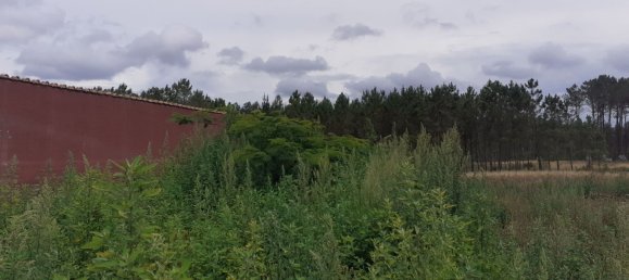 7 Schlafzimmer Haus in Leiria, Portugal, Nr. 152721 22