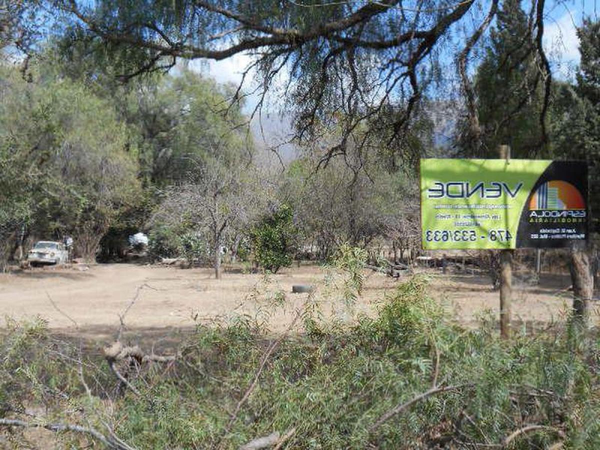  Land in San Luis, Argentina No. 48721