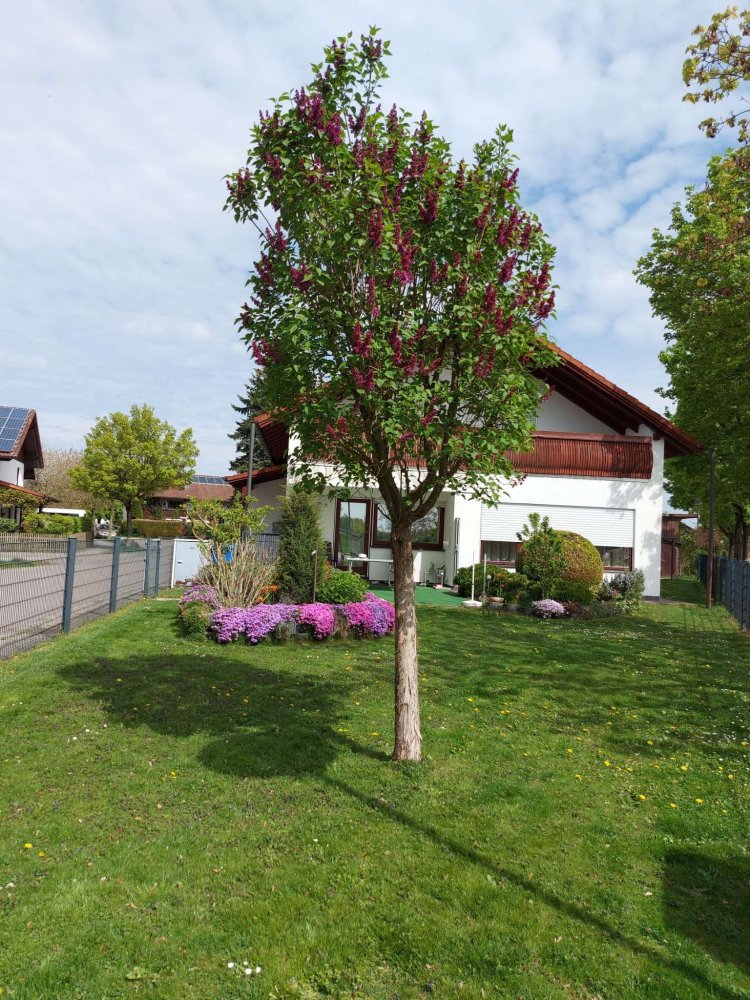 4 bedrooms Townhouse in Passau, Germany No. 148735