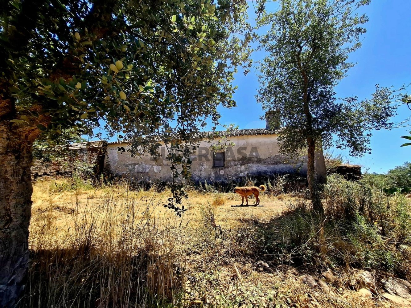  Land in Reliquias, Portugal No. 283357