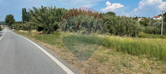 Grundstück in Alcobaca, Portugal 2720m², Nr. 60656 5