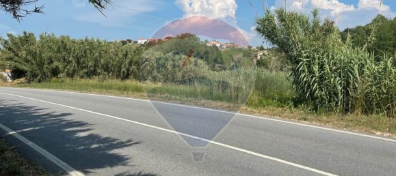 Grundstück in Alcobaca, Portugal 2720m², Nr. 60656 4