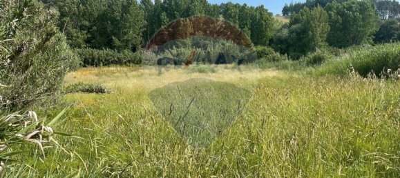 Grundstück in Alcobaca, Portugal 2720m², Nr. 60656 6