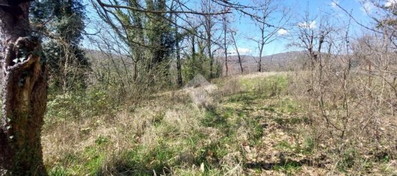 Studio in Vico nel Lazio, Italy, Nr. 146886 26