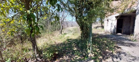 Studio in Vico nel Lazio, Italy, Nr. 146886 9