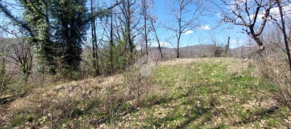 Studio in Vico nel Lazio, Italy, Nr. 146886 19