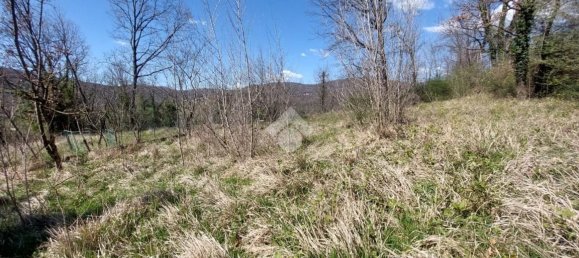 Studio in Vico nel Lazio, Italy, Nr. 146886 16