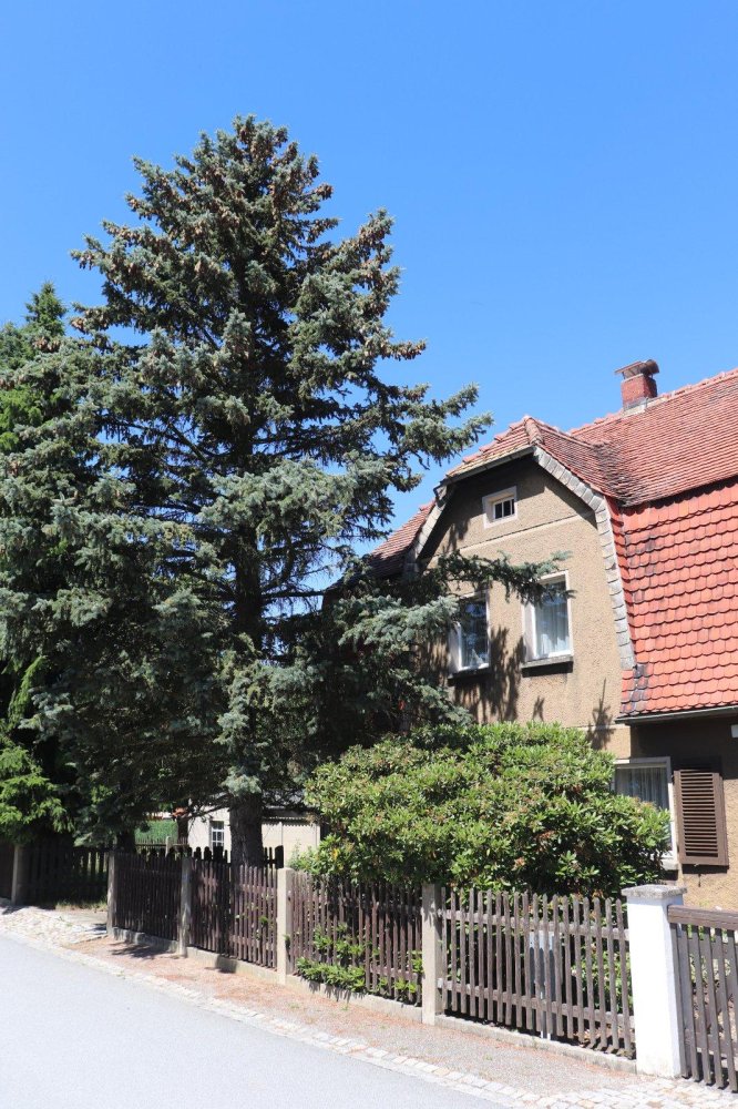 3 bedrooms Townhouse in Gorlitz, Germany No. 246817