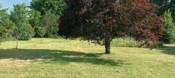 3 Schlafzimmer Haus in Ciron, France, Nr. 225856 11