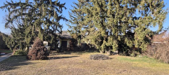 Terrain à Strasshof an der Nordbahn, Austria No. 126455 4