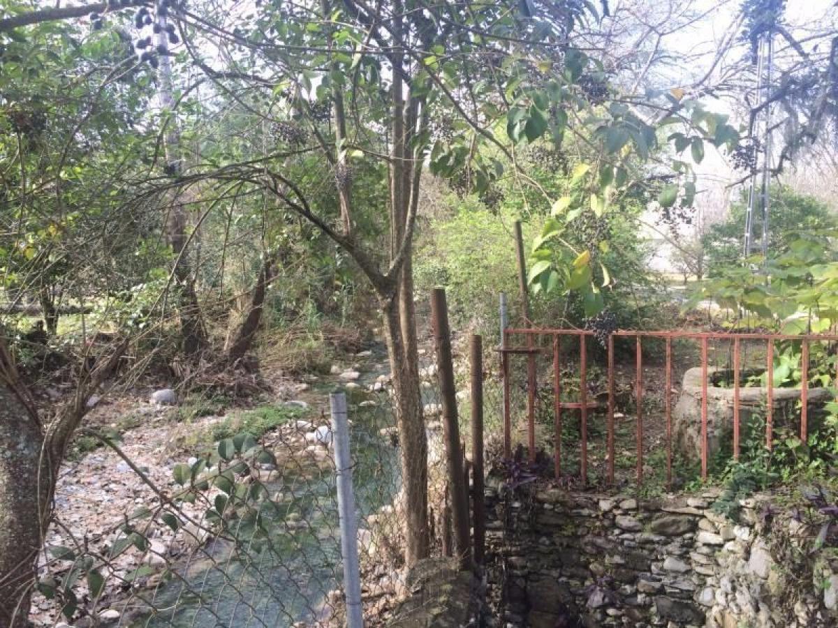 Casa T3 em Nuevo Leon, Mexico N.º 164262