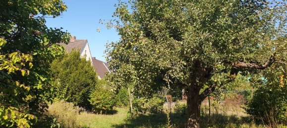  Land in Schweinfurt, Germany No. 334807 5