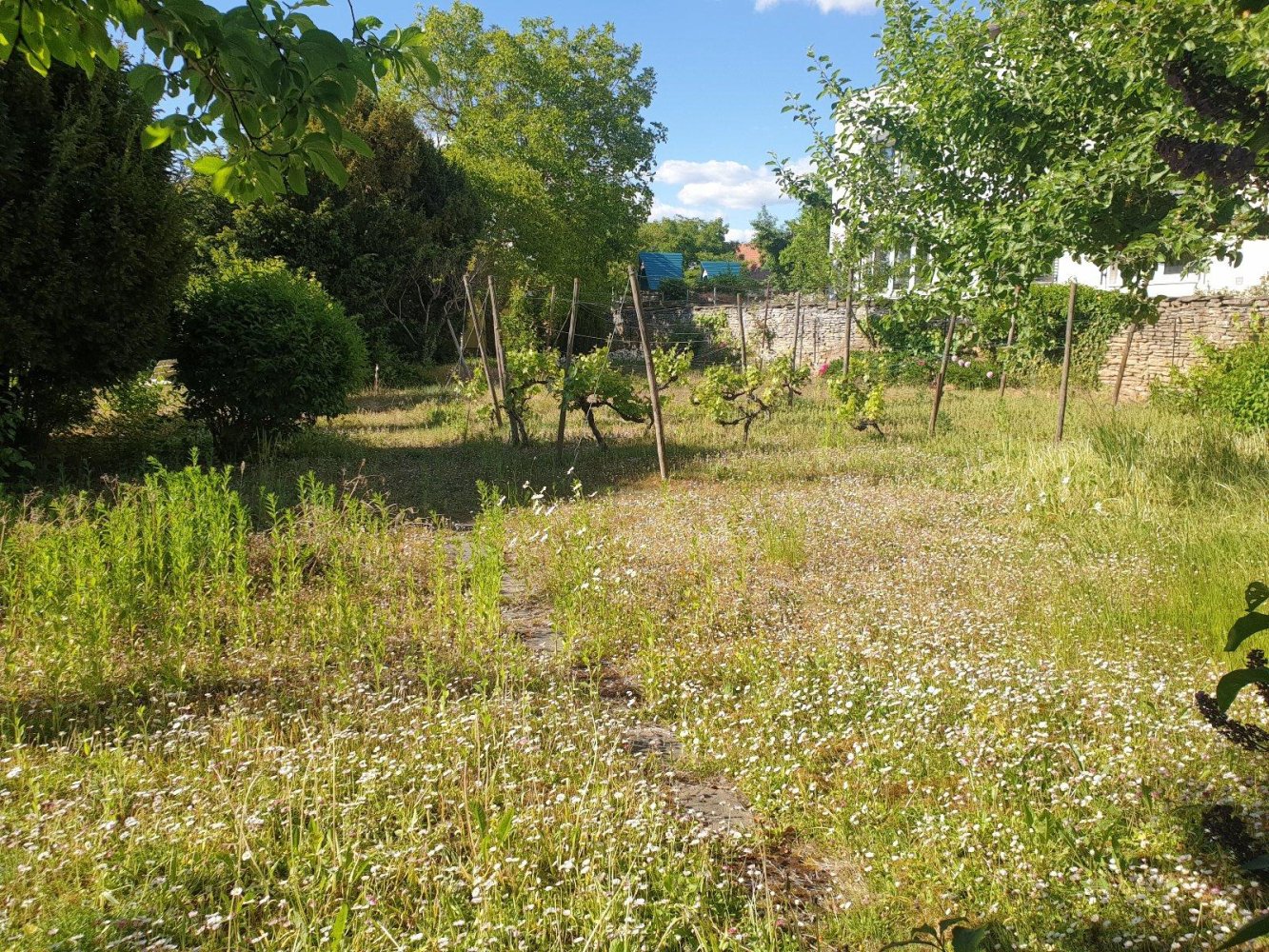  Land in Schweinfurt, Germany No. 334807