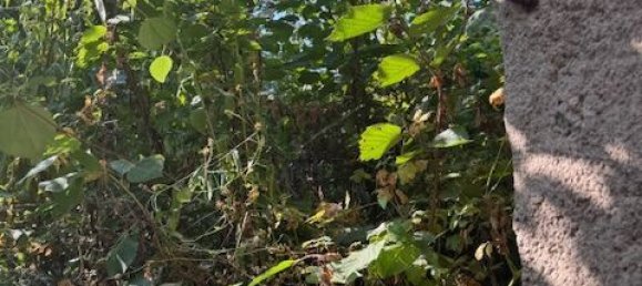 4 غرف نوم منزل في Mayen-Koblenz, Germany رقم 370884 10