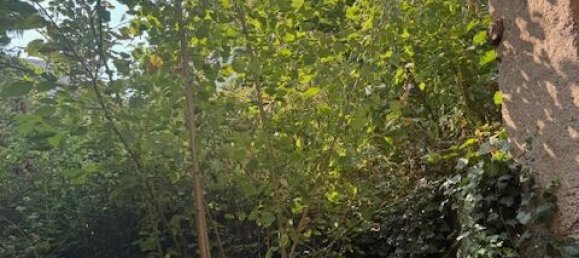 4 غرف نوم منزل في Mayen-Koblenz, Germany رقم 370884 9