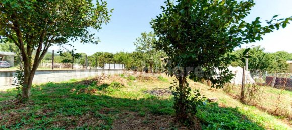 2 bedrooms Villa in Palestrina, Italy No. 80051 5