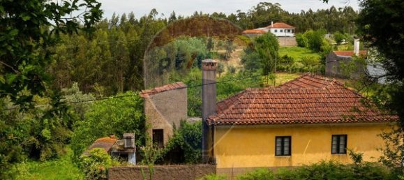 3 bedrooms House in Mortagua, Portugal No. 177438 4