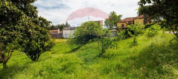 3 bedrooms House in Mortagua, Portugal No. 177438 7