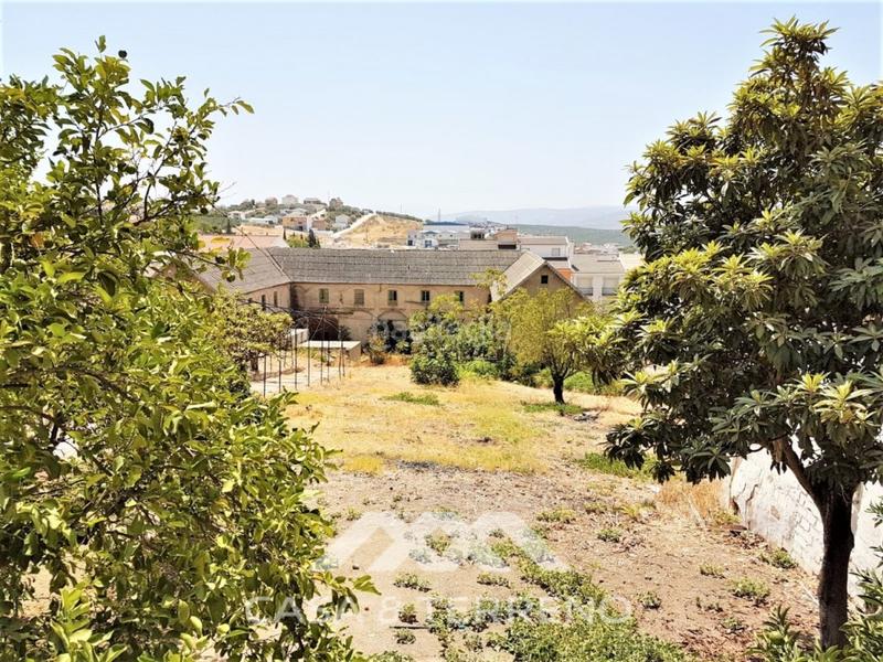 1081m² Commercial property in Rute, Spain No. 241944