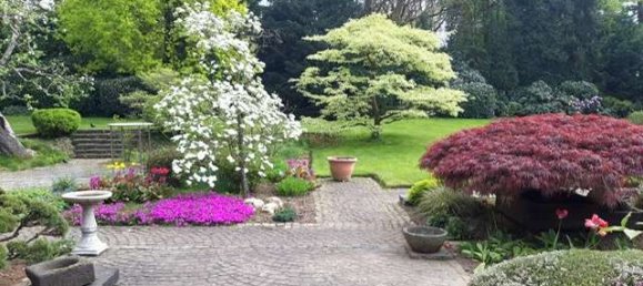 3 bedrooms Townhouse in Rhein-Erft, Germany No. 326050 9