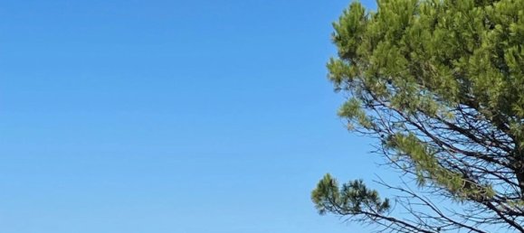 3 rooms Apartment in Falconara Marittima, Italy No. 284341 10