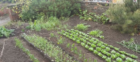 3 rooms Apartment in La Spezia, Italy No. 101347 15