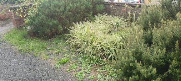 3 rooms Apartment in La Spezia, Italy No. 101347 17