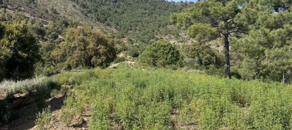 1600m² Land in Malaga, Spain No. 130258 11