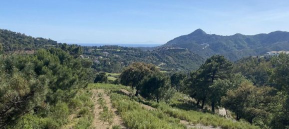 1600m² Land in Malaga, Spain No. 130258 13