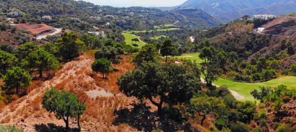 1600m² Land in Malaga, Spain No. 130258 3