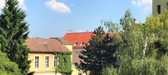 3 rooms Apartment in Baden, Austria No. 151439 15