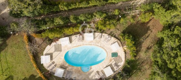 17 rooms Villa in Fasano, Italy No. 75971 43